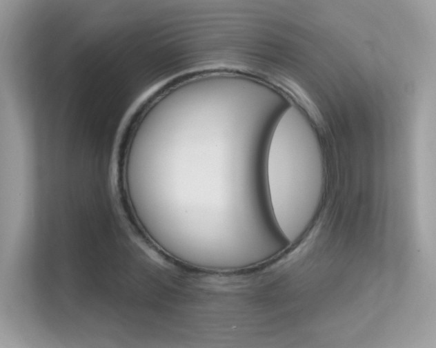 X0000112420780200908141045