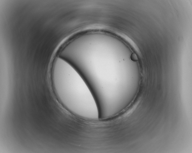 X0000112420783200908141045