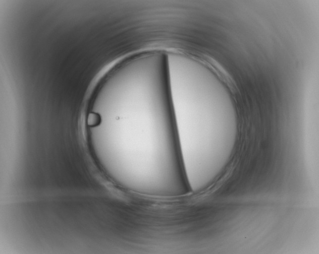 X0000112420788200908141044