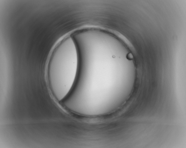 X0000112420791200908141044