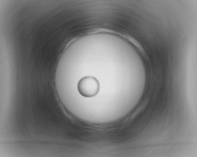 X0000112420793200908141044