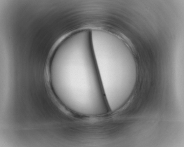 X0000112420796200908141044