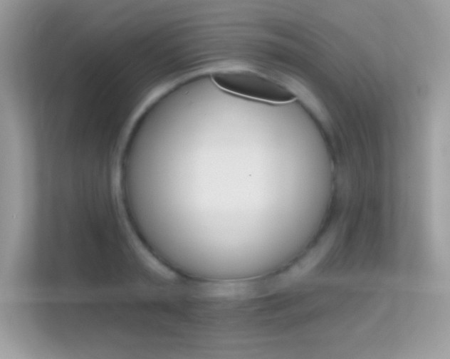 X0000112420797200908141044