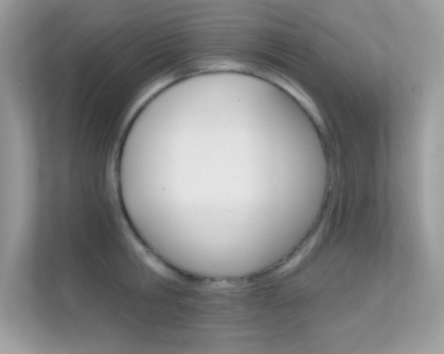 X0000112420806200908141044