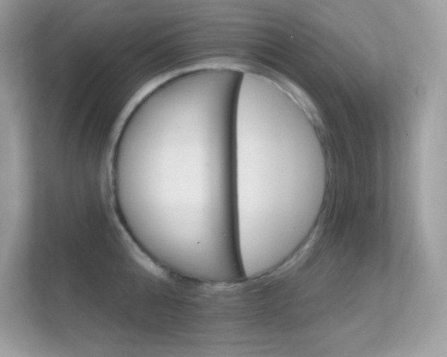 X0000112420808200908141044