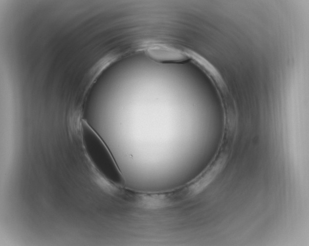 X0000112420809200908141044