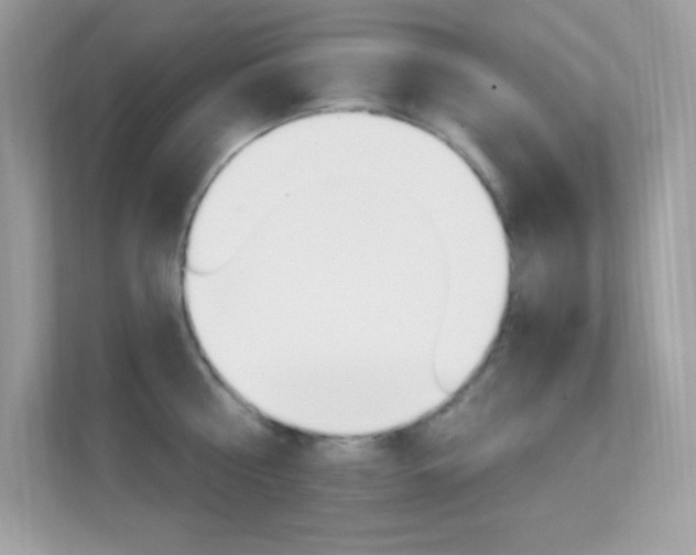 X0000112420810200908141044