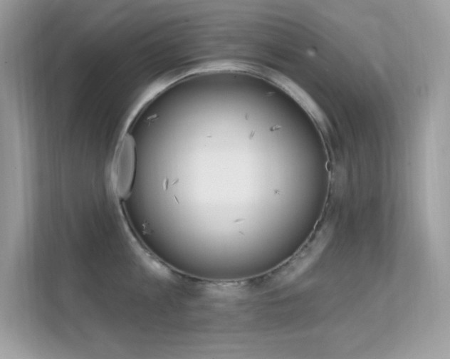 X0000112420813200908141044