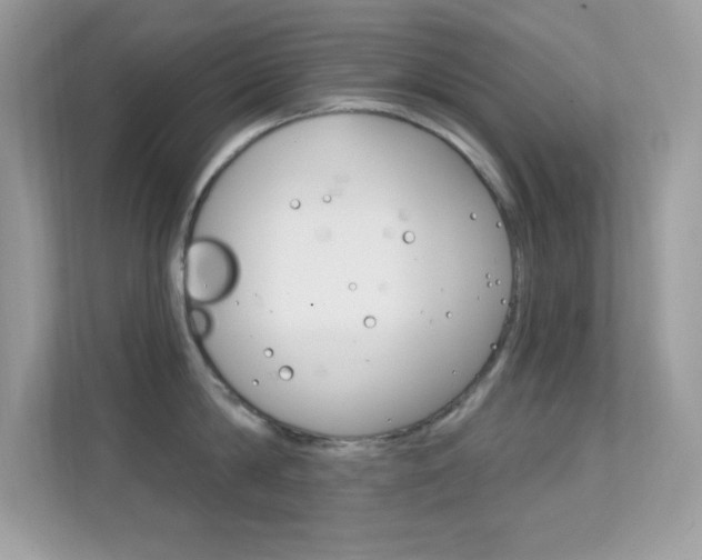 X0000112420814200908141044