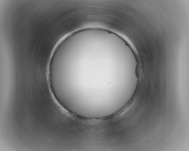X0000112420815200908141044