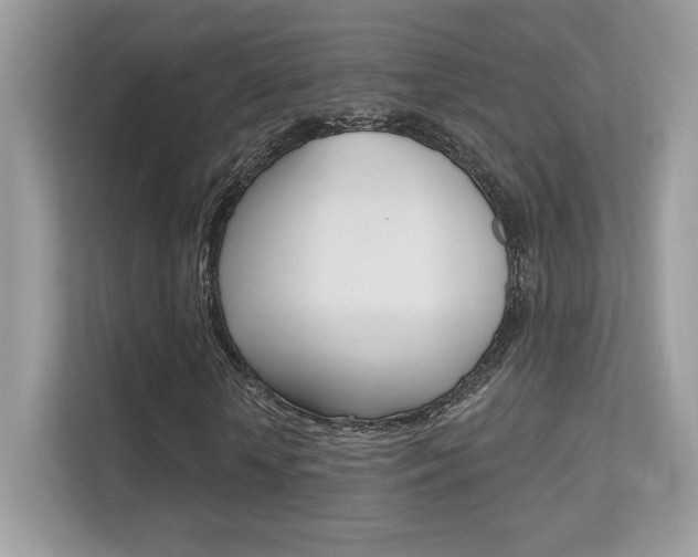 X0000112420818200908141043