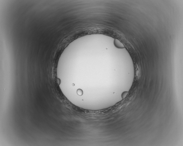 X0000112420819200908141043