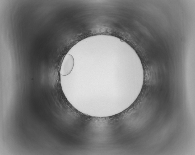X0000112420820200908141043