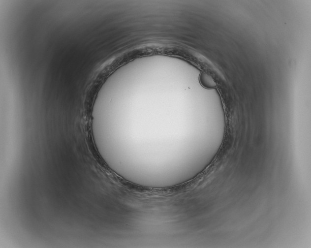 X0000112420822200908141044