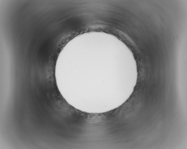 X0000112420824200908141044