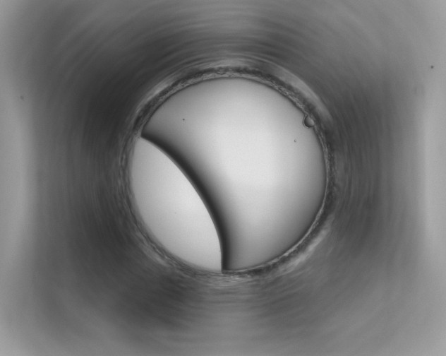 X0000112420826200908141044