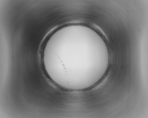 X0000112420827200908141044