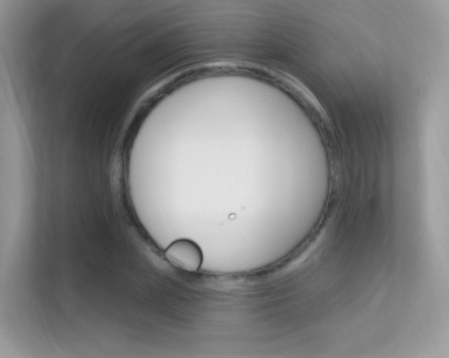 X0000112420831200908141044