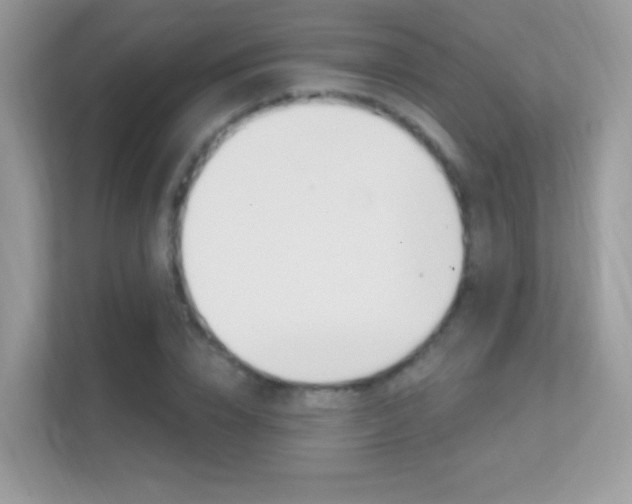 X0000112420832200908141044