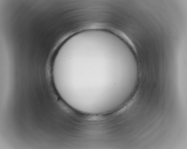 X0000112420835200908141044