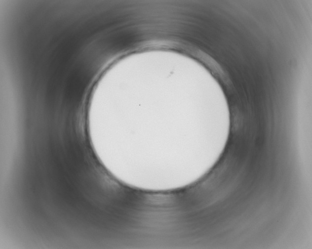 X0000112420836200908141044
