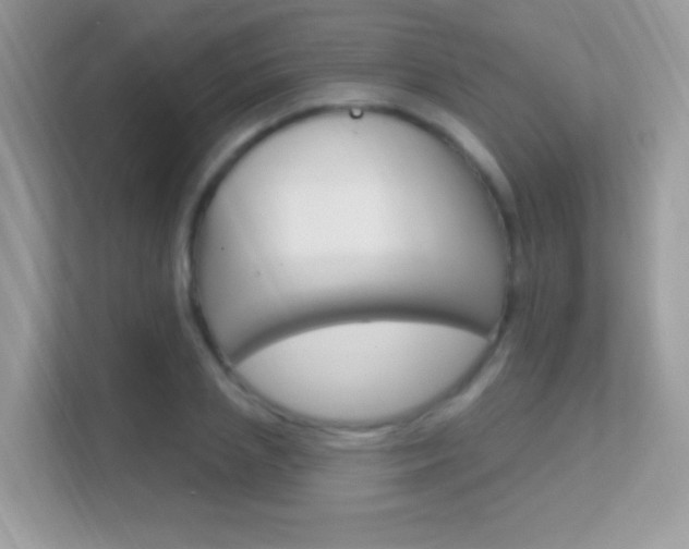 X0000112420837200908141044