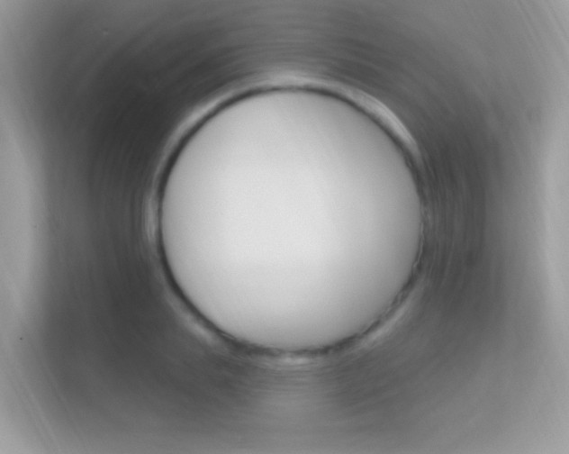 X0000112420839200908141044