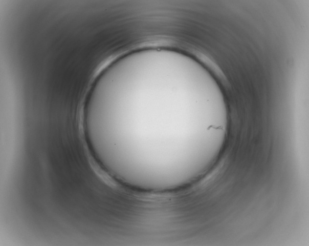 X0000112420842200908141044