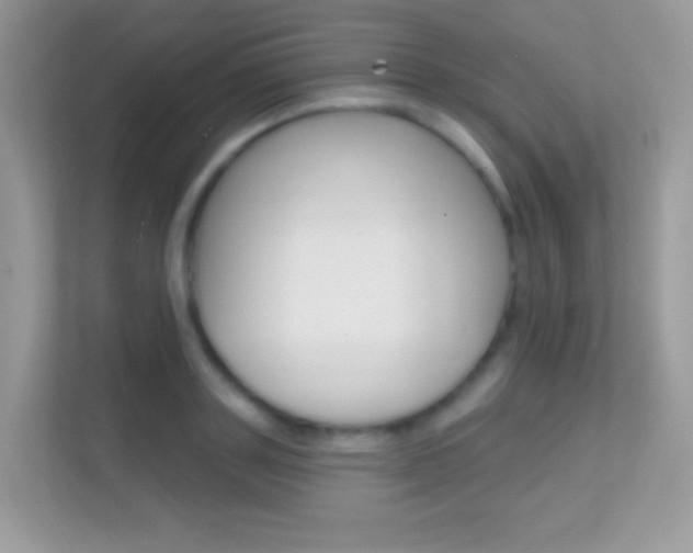 X0000112420843200908141044