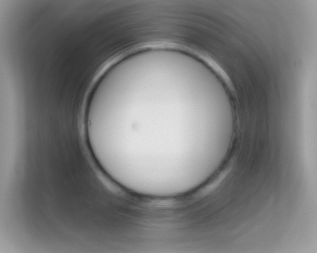 X0000112420845200908141044