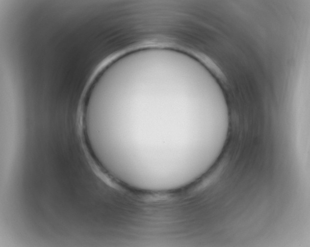 X0000112420846200908141044
