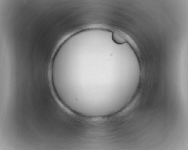 X0000112420847200908141044