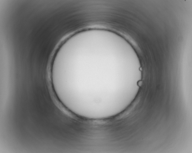 X0000112420848200908141044