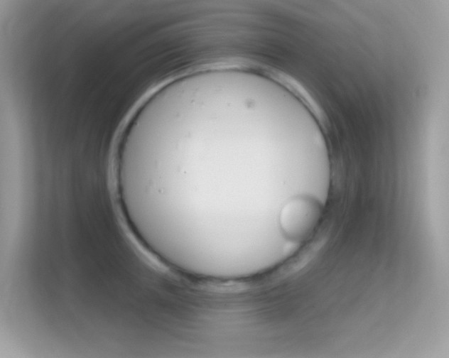 X0000112420851200908141044