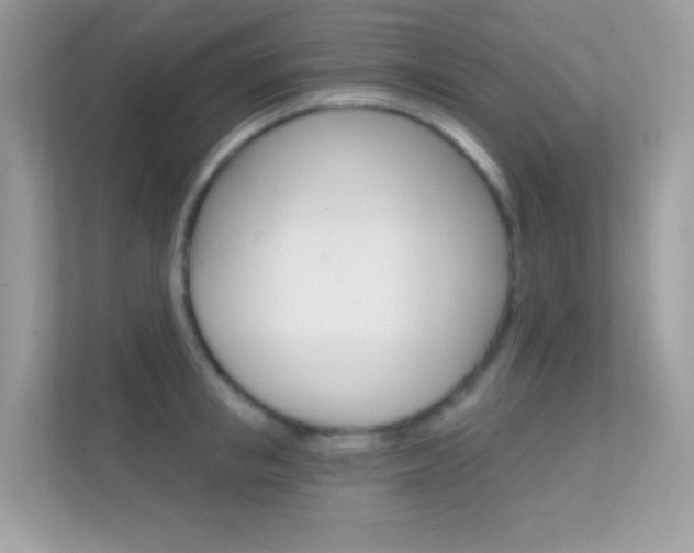 X0000112420853200908141044