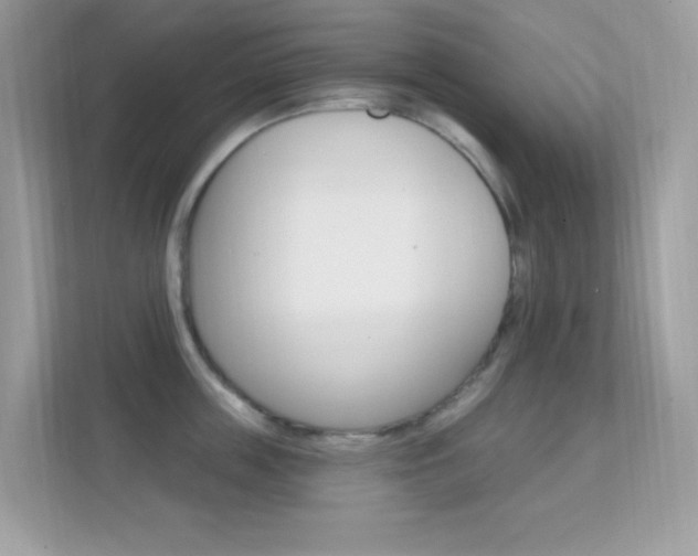 X0000112420859200908141044