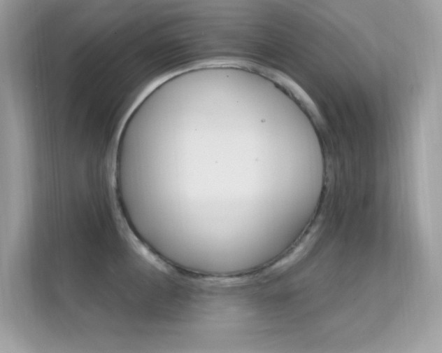 X0000112420860200908141044