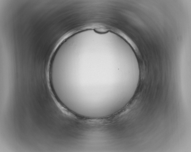 X0000112420861200908141044