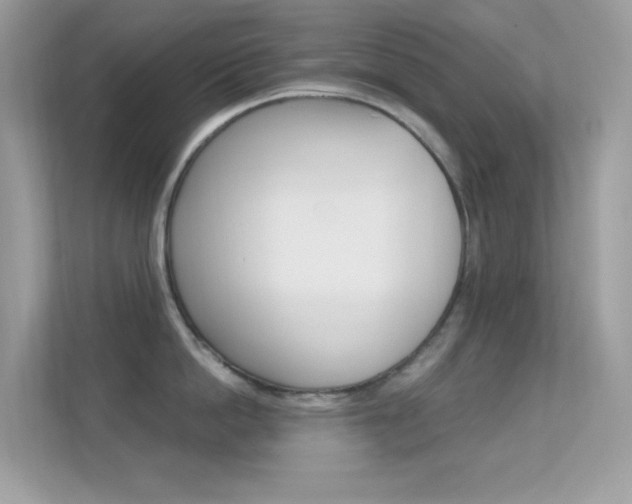 X0000112420862200908141044