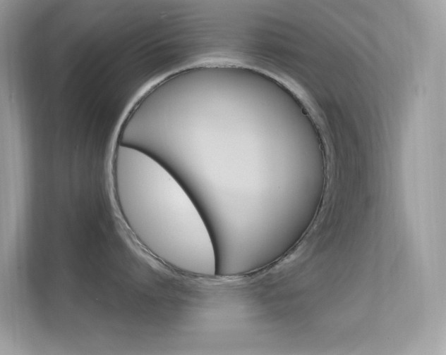 X0000112420864200908141044