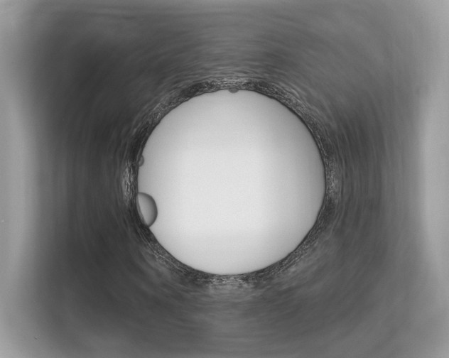 X0000112420866200908141043