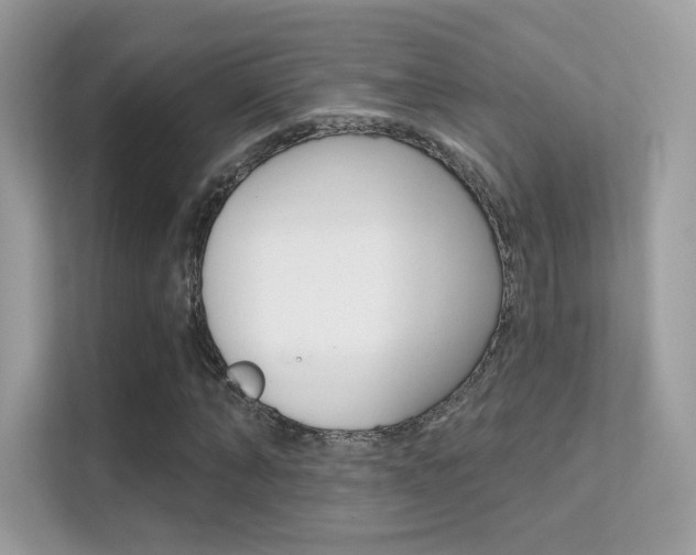X0000112420870200908141043