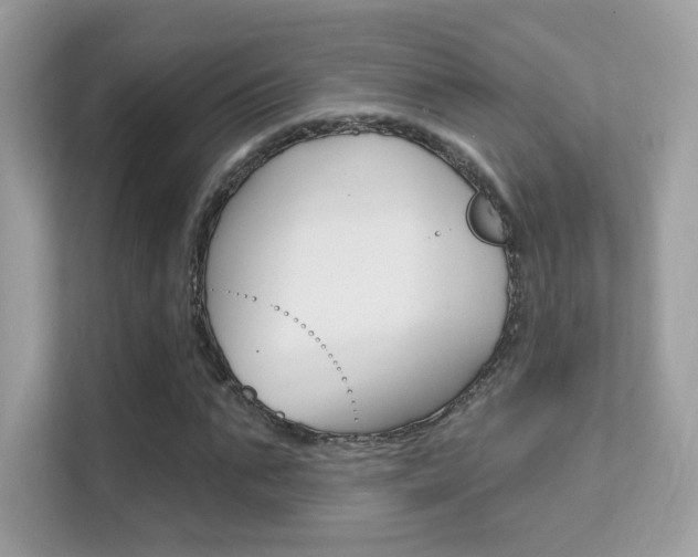 X0000112420871200908141043