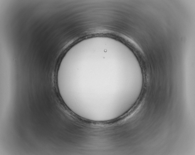 X0000112420873200908141043
