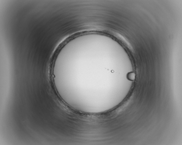 X0000112420875200908141043