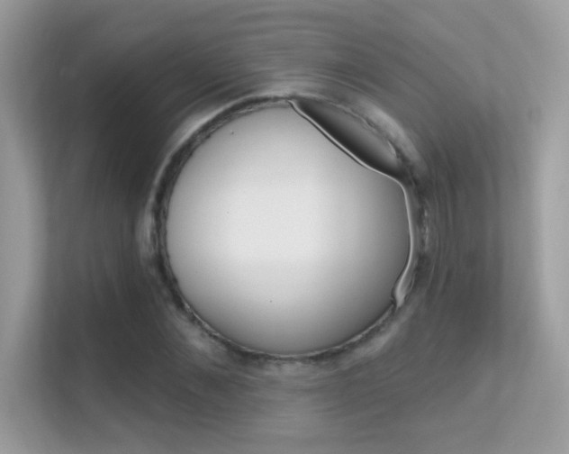 X0000112420876200908141043