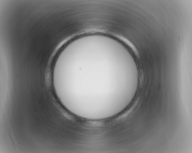 X0000112420878200908141043