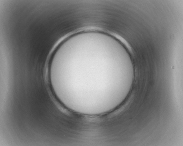 X0000112420886200908141043