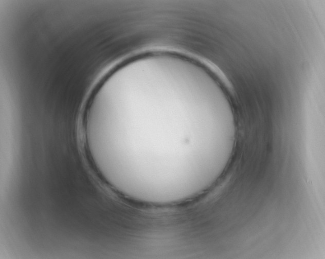 X0000112420887200908141043