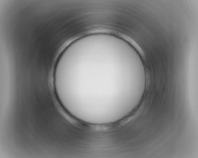 X0000112420890200908141043